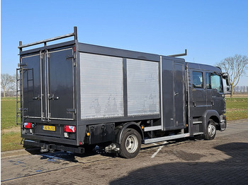 Koffer LKW MAN 8.180 TGL DOKA DOUBLE CABIN: das Bild 3