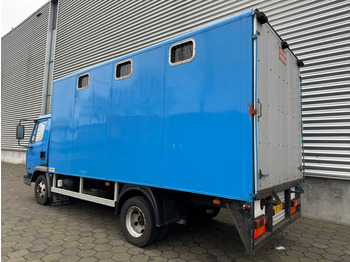 Tiertransporter LKW DAF LF45.130 / Horse Truck / Manual Gearbox / Euro 2 / NL Trucks: das Bild 4