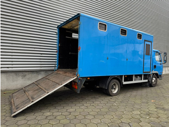 Tiertransporter LKW DAF LF45.130 / Horse Truck / Manual Gearbox / Euro 2 / NL Trucks: das Bild 3