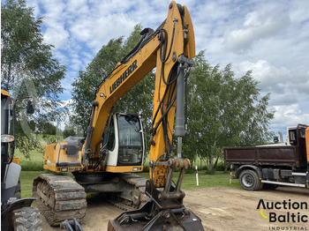 Kettenbagger Liebherr R 900 C Litronic: das Bild 2