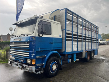 SCANIA R113 Tiertransporter LKW