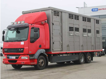 DAF LF 55 280 Tiertransporter LKW