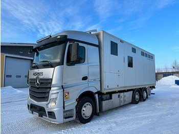 MERCEDES-BENZ Actros Tiertransporter LKW