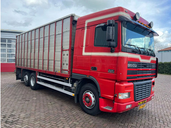 DAF XF 95 380 Tiertransporter LKW