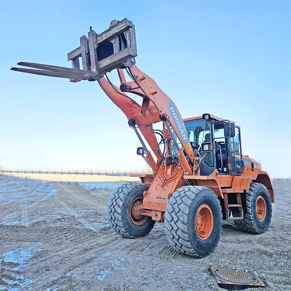 Radlader Doosan DL200-3: das Bild 29